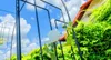 KADAX mříž "Atri", oblouk z růží, 250 cm, pergola černá Náhled obrázku produktu 5