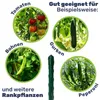 Pflanzstab Rankenhilfe Stahl mit Kunststoff Ummantelung Produktbild-Vorschau 2