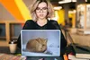 MuchoWow® Laptop Aufkleber Sticker Cover Amerika - Fuchs - Produktbild-Vorschau 5