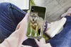MuchoWow® Handyhülle Schutzhülle Hülle für iPhone Xs Wolf - Produktbild-Vorschau 3