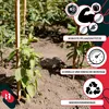 KOTARBAU® 10 szt. Paliki Drewniane do Pomidorów Warzyw 30 Podgląd zdjęcia produktu 8