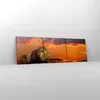 Bild auf Leinwand - Leinwandbild - Löwe Sonne Landschaft - Produktbild-Vorschau 4
