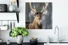 MuchoWow® Poster Rotwild - Weiß - Braun 50x50 cm - Produktbild-Vorschau 3