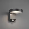 Venkovní nástěnné svítidlo POSADAS - MOVEMENT SENSOR - Náhled obrázku produktu 2