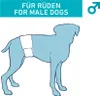 Nobby Windeln f. Rüden 12 St.; S-M ; 30 - 46 cm Produktbild-Vorschau 4