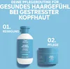 Wella Professionals Invigo Scalp Balance Szampon do Podgląd zdjęcia produktu 13