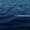 Sza - Sos (2 Lp) Anteprima dell’immagine prodotto 3