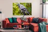 MuchoWow® Poster Eine bunte Wildtaube zwischen den grünen Produktbild-Vorschau 2