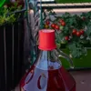 Gummistopfen für Demijohn - 5,5cm Produktbild-Vorschau 4