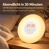 Lichtwecker mit 30-Minuten-Sonnenaufgang, FM-Radio, 6 Produktbild-Vorschau 5