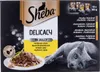 A box of Sheba cat food with a picture of a cat and food. Podgląd zdjęcia produktu