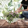 A person is watering a plant in a pot. Voir les images du produit