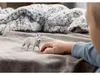 schleich WILD LIFE Polarwolf, 3 Jahr(e), Ice & Ocean, Wild Produktbild-Vorschau 6