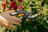Sekator Nożyce ręczne Fiskars 21 cm Podgląd zdjęcia produktu 25
