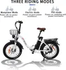 20"FatReifen，Pedelec E-Klapprad, E-Bike Faltbares,250W Produktbild-Vorschau 5