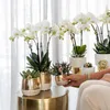 Kolibri Home | Elite pot gold - topfgröße Ø9cm - Ø9cm Produktbild-Vorschau 3