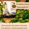 4er Set Blumenkastenhalterung Fensterbank ohne Bohren Produktbild-Vorschau 6