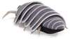 Folkmanis Fingerpuppe Assel 11 cm Produktbild-Vorschau 8