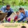 Seedhero  Gemüsesamen-Set mit 12 Sorten Produktbild-Vorschau 4