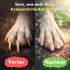 Dr. Pfoten™ KrallenSchleifer Pro - Elektrischer Produktbild-Vorschau 6