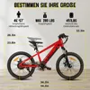 JOYSTAR Elektrofahrrad für Kinder und Jugendliche ab 7 Produktbild-Vorschau 2