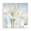 DEQORI Glasbild Echtglas 50x50 cm 'Löwenzahnsamen nah' Produktbild-Vorschau 2