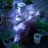 A string of dandelion-shaped fairy lights illuminates a rustic outdoor setting with plants and a wreath. Produktbild-Vorschau