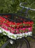 Blumengirlande Fuchsia ca. 120 cm lang Produktbild-Vorschau 4