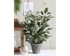 Kunstpflanze Ficus im Topf grün/mehrfarbig 40cm Produktbild-Vorschau 8