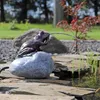 CLGarden Wasserspeier Komplettset Frosch auf einem Stein Produktbild-Vorschau 8