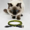Distributore automatico di cibo per gatti Peluvio Crispy Anteprima dell’immagine prodotto 3