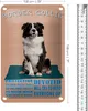 Blechschild Spruch 18x12cm Border Collie Hund protective Produktbild-Vorschau 2