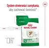 Royal Canin Mini Ageing 12+, Adult, Klein (5-10 kg), Mini Produktbild-Vorschau 12