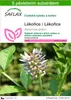 SAFLAX - Lékořice / Lékořice - Glycyrrhiza glabra - 30 Náhled obrázku produktu 1