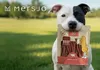 Mersjo Rinder-Kabanos mit Leber 500g - Hundeleckerli Produktbild-Vorschau 14