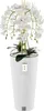 Orchidea artificiale a cascata Bouquet bianco in vaso Anteprima dell’immagine prodotto 1