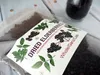 Holunderbeeren getrocknet, Holundertee, Holunder, Sambucus Produktbild-Vorschau 8