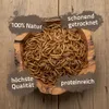 Mehlwürmer getrocknet Produktbild-Vorschau