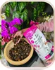 Orchideenerde 5L - Kiefernrinde - Kokosnuss - Nährstoffe - Produktbild-Vorschau 4