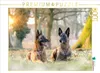 CALVENDO Puzzle Ein Motiv aus dem Kalender Malinois - Produktbild-Vorschau 2