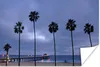 MuchoWow® Poster Palme - Strand - Amerika 120x80 cm - Produktbild-Vorschau 2