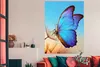MuchoWow® Poster Schmetterling - Löwenzahn - Blau 120x160 Produktbild-Vorschau 2