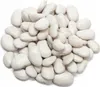 A pile of dried white beans on a white background. Produktbild-Vorschau