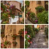 Bild auf Leinwand - Leinwandbild - Path Blumen Haus Hof - Produktbild-Vorschau 8
