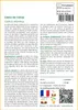 SAFLAX  - Cèdre de l'Atlas - 20 graines - Cedrus Voir les images du produit 3