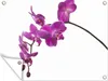 MuchoWow® 40x30 cm Outdoor-Poster Gartendeko Sichtschutz Produktbild-Vorschau 1