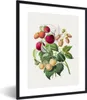MuchoWow® Gerahmtes Poster Himbeere - Pflanze - Produktbild-Vorschau 1