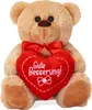 A teddy bear holding a red heart with text. Anteprima dell’immagine prodotto