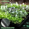 Growbox lampe pour plantes à spectre complet avec tapis Voir les images du produit 8