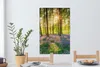 MuchoWow® - Leinwandbilder - Frühling - Wald - Sonne, Produktbild-Vorschau 6